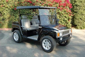 affordable golf cart rental, golf cart rent flagler beach, cart rental flagler beach