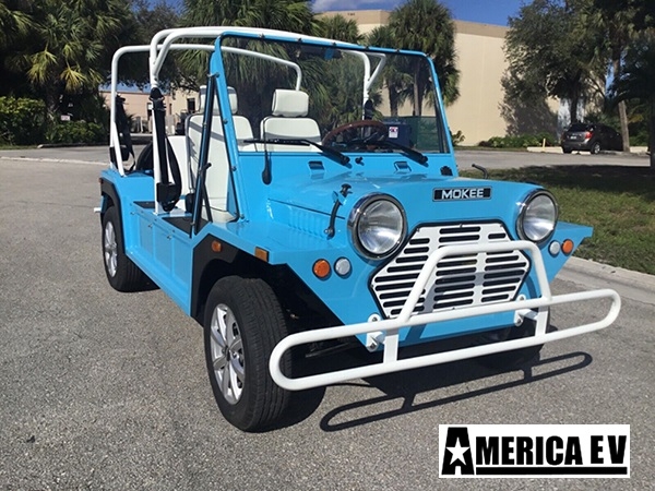 affordable golf cart rental, golf cart rent flagler beach, cart rental flagler beach