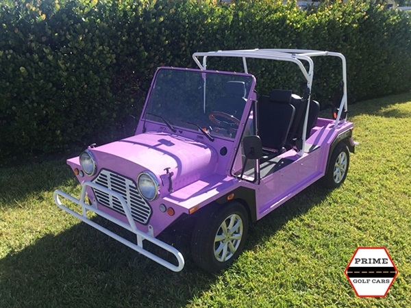 affordable golf cart rental, golf cart rent flagler beach, cart rental flagler beach
