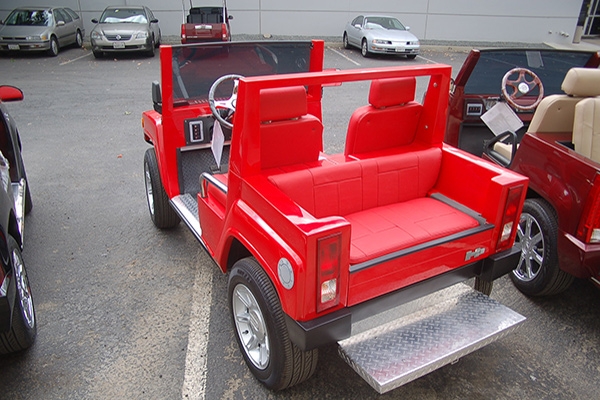 affordable golf cart rental, golf cart rent flagler beach, cart rental flagler beach