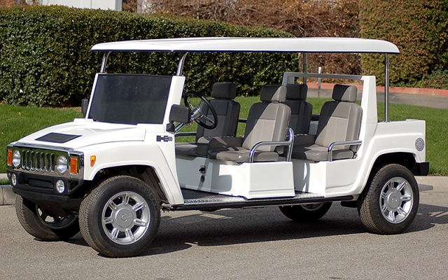 affordable golf cart rental, golf cart rent flagler beach, cart rental flagler beach